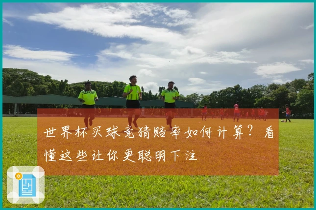 世界杯买球竞猜赔率如何计算？看懂这些让你更聪明下注