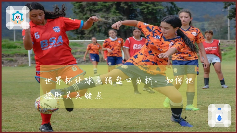 世界杯让球竞猜盘口分析，如何把握胜负关键点