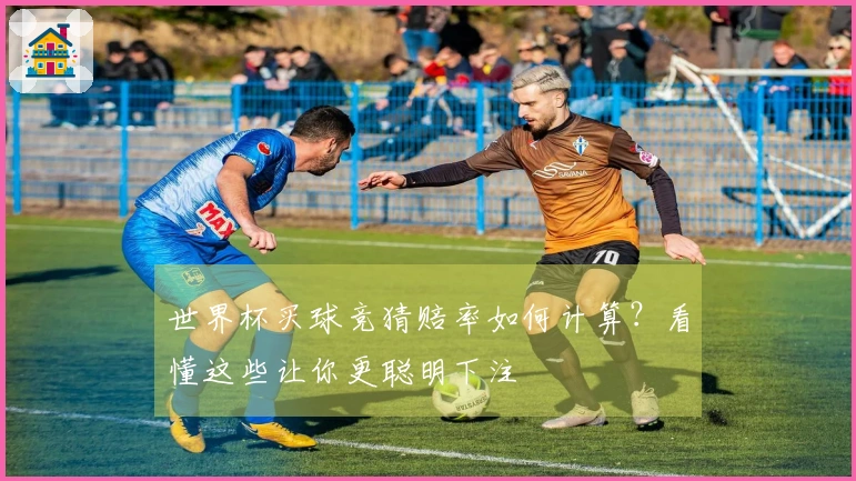 世界杯买球竞猜赔率如何计算？看懂这些让你更聪明下注