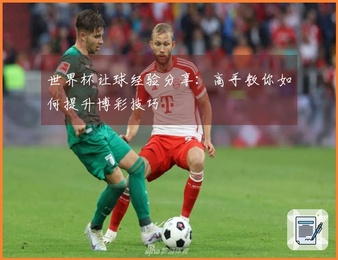 世界杯让球经验分享：高手教你如何提升博彩技巧