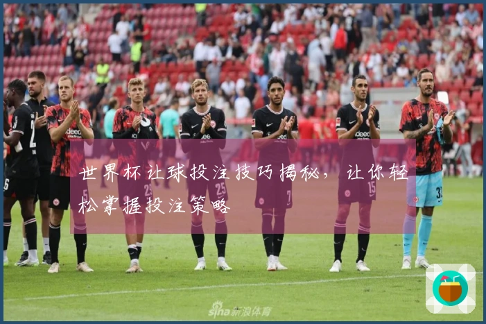 世界杯让球投注技巧揭秘，让你轻松掌握投注策略