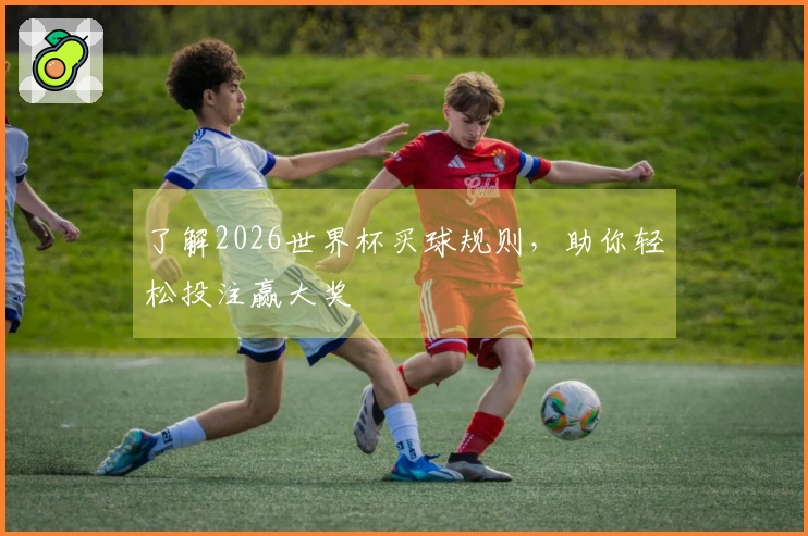 了解2026世界杯买球规则，助你轻松投注赢大奖