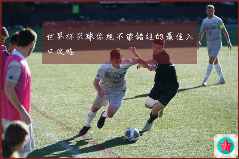 世界杯买球你绝不能错过的最佳入口攻略