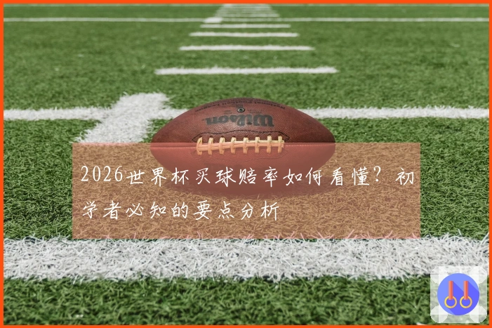 2026世界杯买球赔率如何看懂？初学者必知的要点分析