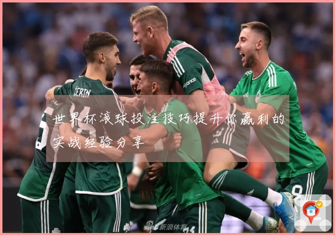世界杯滚球投注技巧提升你赢利的实战经验分享