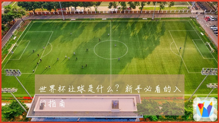 世界杯让球是什么？新手必看的入门指南