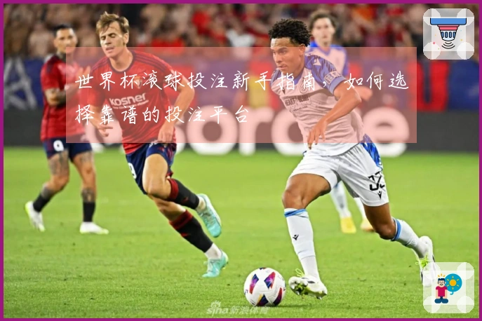 世界杯滚球投注新手指南，如何选择靠谱的投注平台
