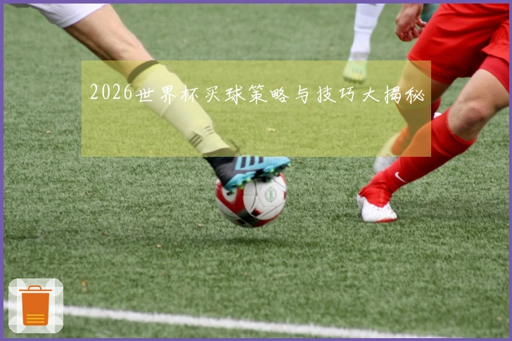 2026世界杯买球策略与技巧大揭秘