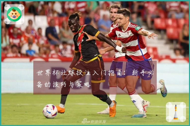 世界杯让球投注入门指南：新手必备的技巧与策略