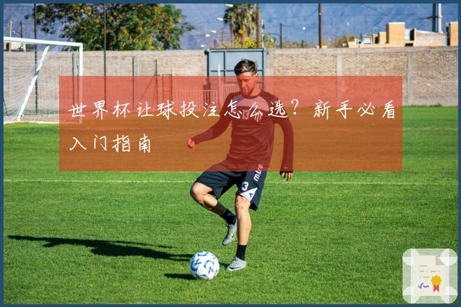 世界杯让球投注怎么选？新手必看入门指南
