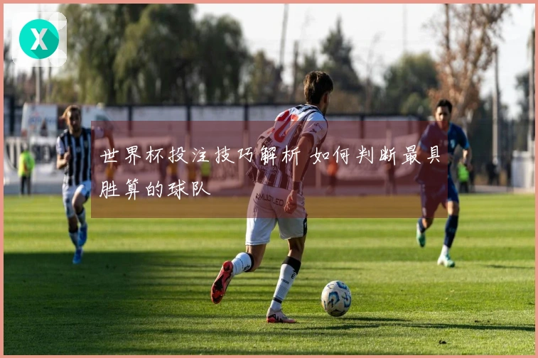 世界杯投注技巧解析 如何判断最具胜算的球队