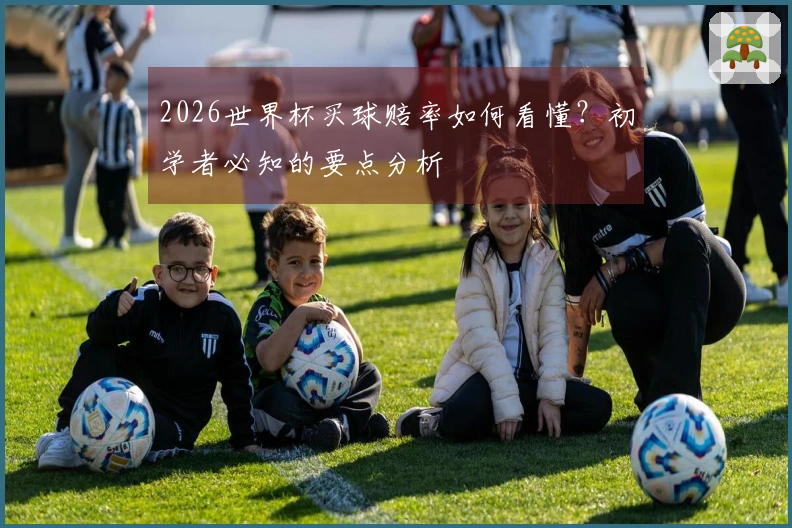 2026世界杯买球赔率如何看懂？初学者必知的要点分析