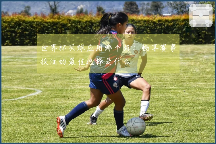世界杯买球应用哪个好？畅享赛事投注的最佳选择是什么